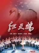 正太大作战下载手机版-正太大作战下载手机版最新版v12.38.46-2265安卓网